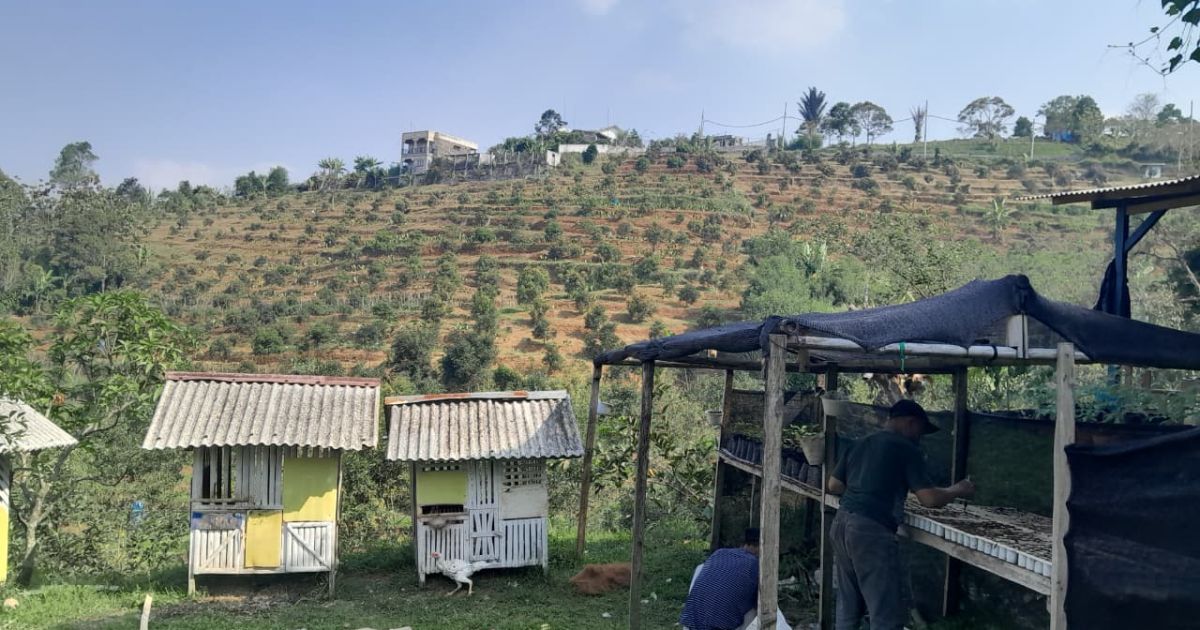 Lahan PT BSS di Kampung Palalangon Desa Pasir Jaya, Kecamatan Cigombong, Kabupaten Bogor (Yogi Mulyana/Penajabar)