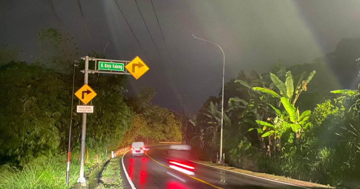 PJU Padam dari Jasinga hingga Dramaga, Ini Penjelasan PLN dan UPT Wilayah IV