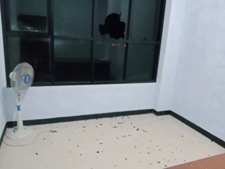 Gedung Graha Wartawan Cibinong Dilempar Batu OTK, PWI Kabupaten Bogor Lapor Polisi