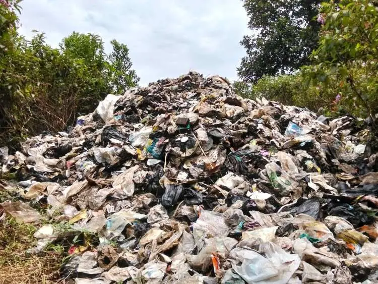 Sampah Menggunung di Hutan Cigudeg, Ini Lokasinya