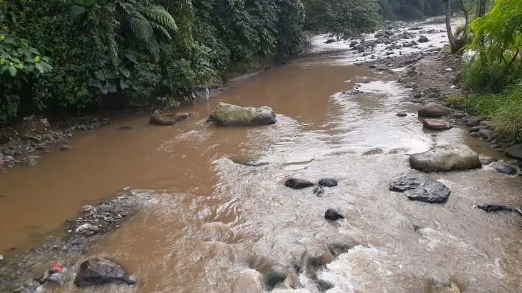 Krisis Pencemaran Sungai Cikaniki, PT Antam dan Satgas CRC Angkat Bicara