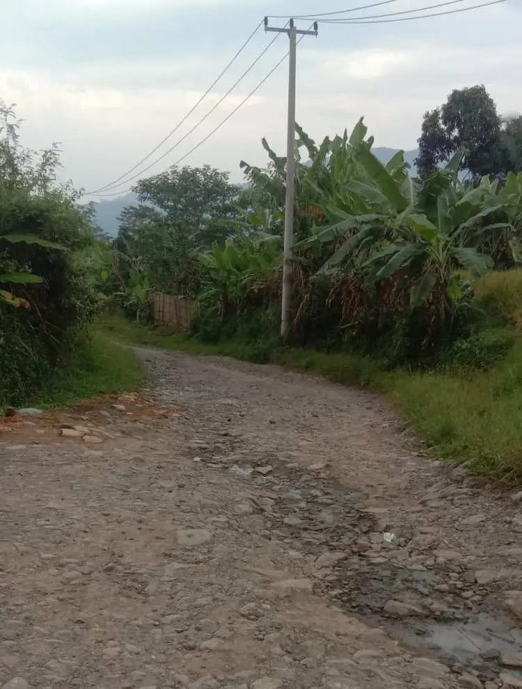 Sudah Tahun 2024, Namun Masih Banyak Desa Susah Sinyal dan Jalan Rusak Parah di Nanggung