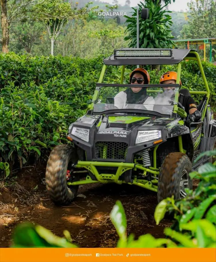 Wisata Goalpara Tea Park Sukabumi, Liburan Keluarga Dengan Keindahan Alam Dan Kebun Teh