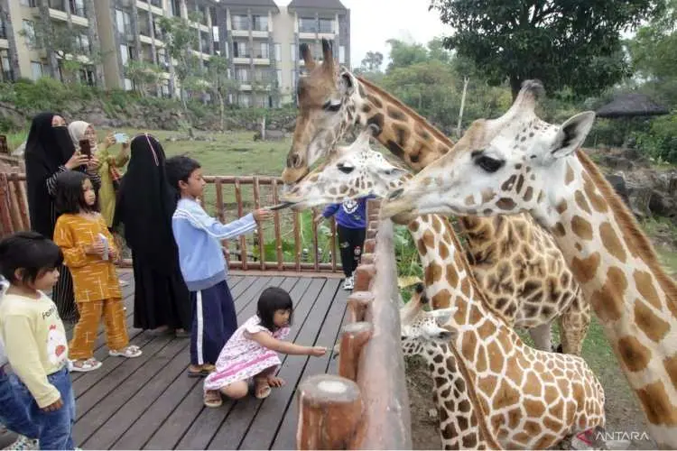 Mau Liburan Sekolah Bersama Keluarga? Berikut Destinasi Wisata Keluarga Seru yang Harus Dikunjungi Di Bogor!