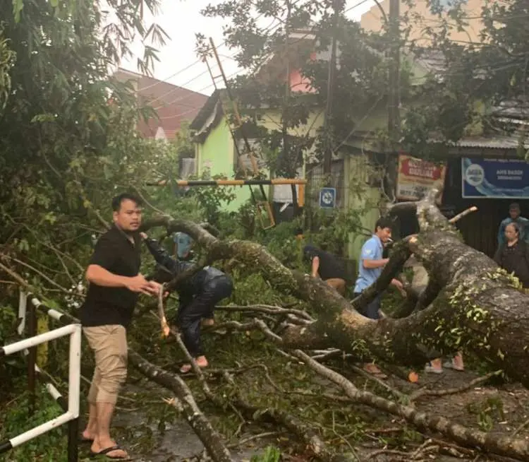 Hujan Badai Menguyur Bogor, Belasan Pohon sampai Tiang Listrik Tumbang