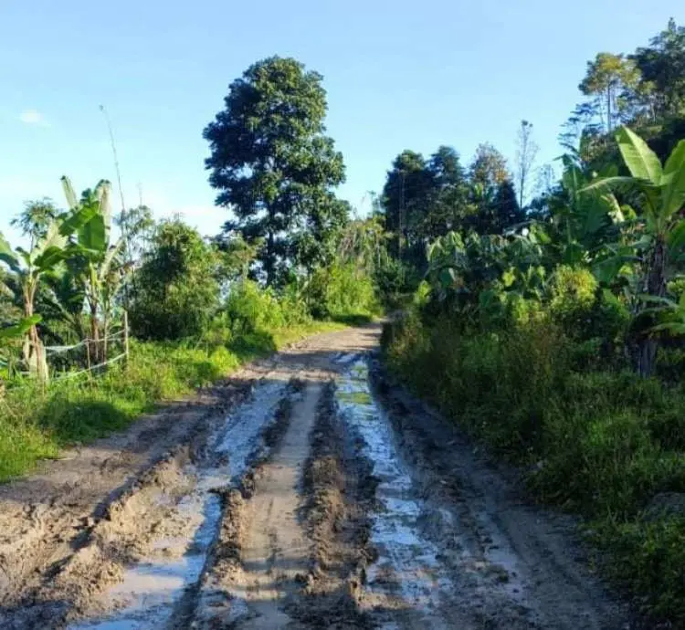 Aktivitas Warga Terhambat Akibat Jalan Citumbuk Parigi Kecamatan Nanggung Rusak Parah